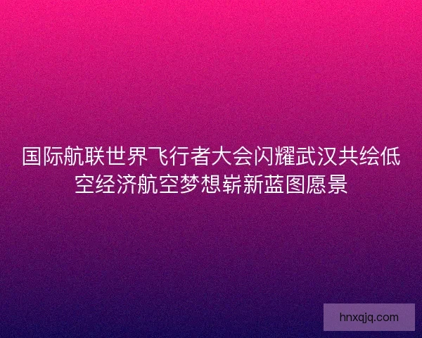 国际航联世界飞行者大会闪耀武汉共绘低空经济航空梦想崭新蓝图愿景