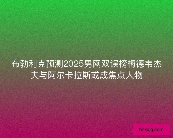 布勃利克预测2025男网双误榜梅德韦杰夫与阿尔卡拉斯或成焦点人物
